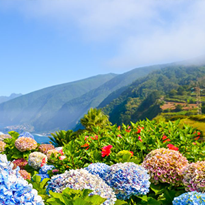 készülj fel Te is a gondtalan nyugdíjas éveidre!