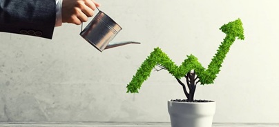 Öntözőkannából locsolt, nyíl alakúra metszett növény egy cserépben.