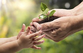 K&H lay emphasis on the protection of the environment