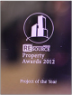 Project of the Year